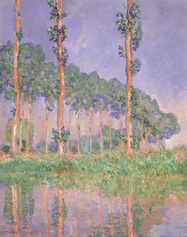 Claude Monet Poplars,Pink Effect China oil painting art